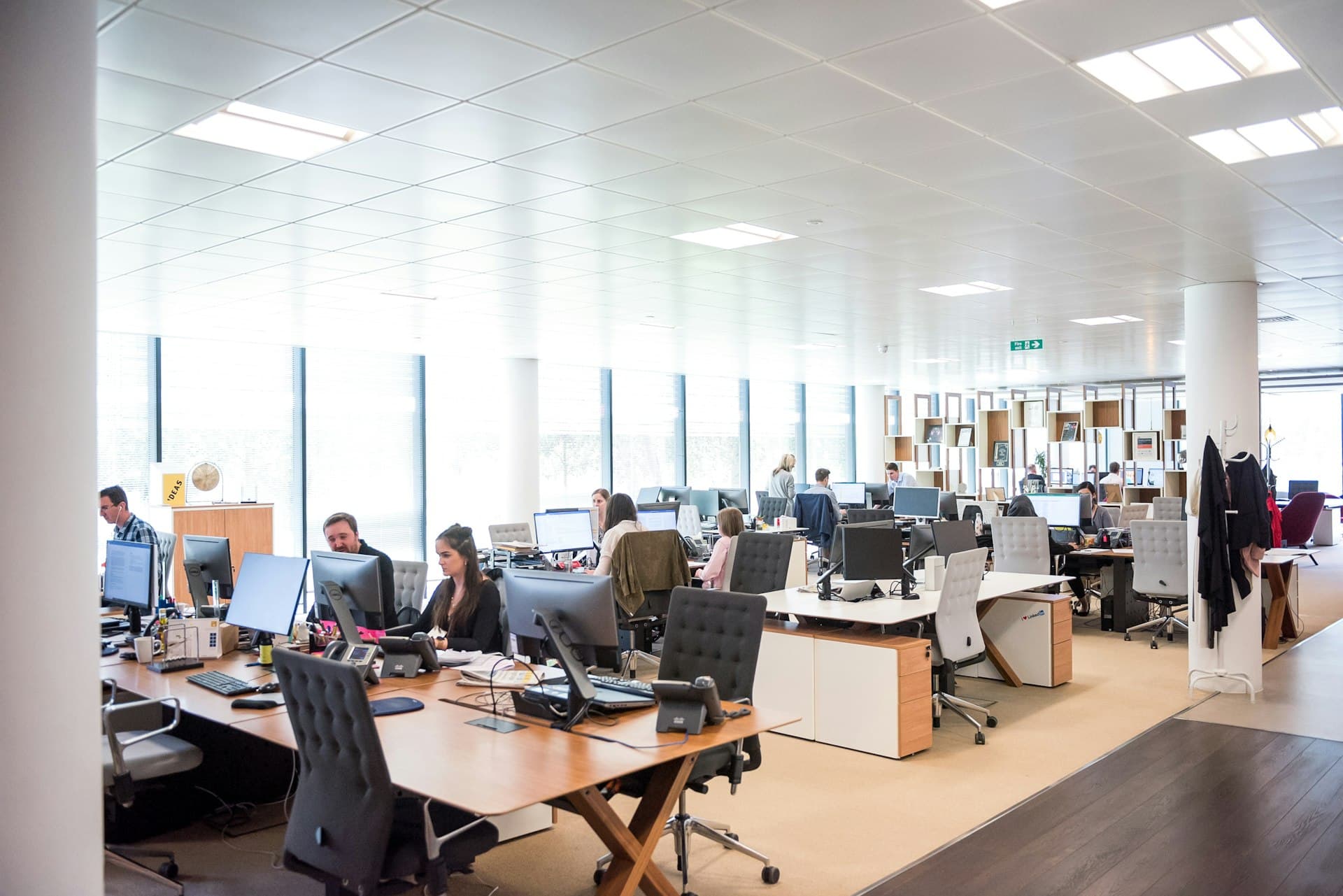 Professional team working together in an office