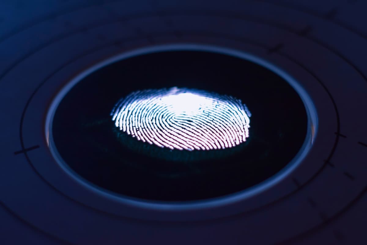 Expungement and Background Checks