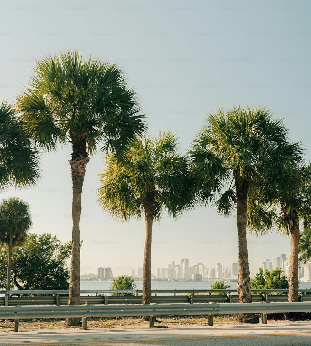 Florida Expungement and Sealing